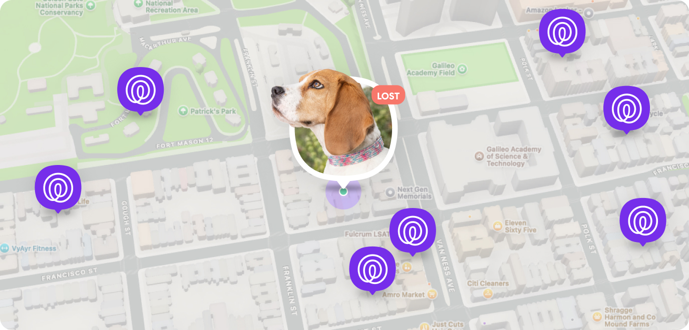 Pet Finder Network to the rescue